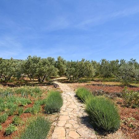 House Oliva Villa Tkon Dış mekan fotoğraf