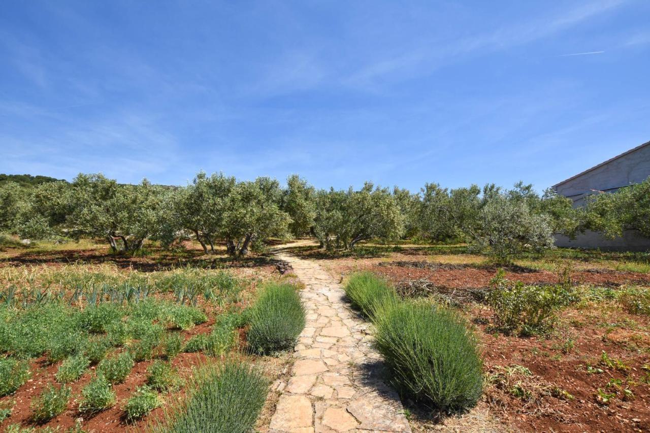 House Oliva Villa Tkon Dış mekan fotoğraf