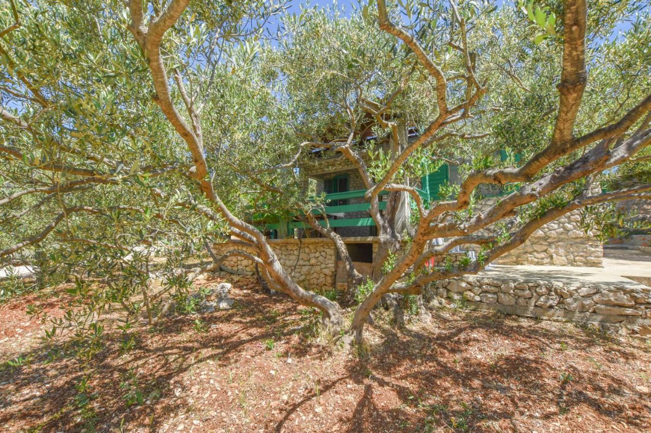 House Oliva Villa Tkon Dış mekan fotoğraf