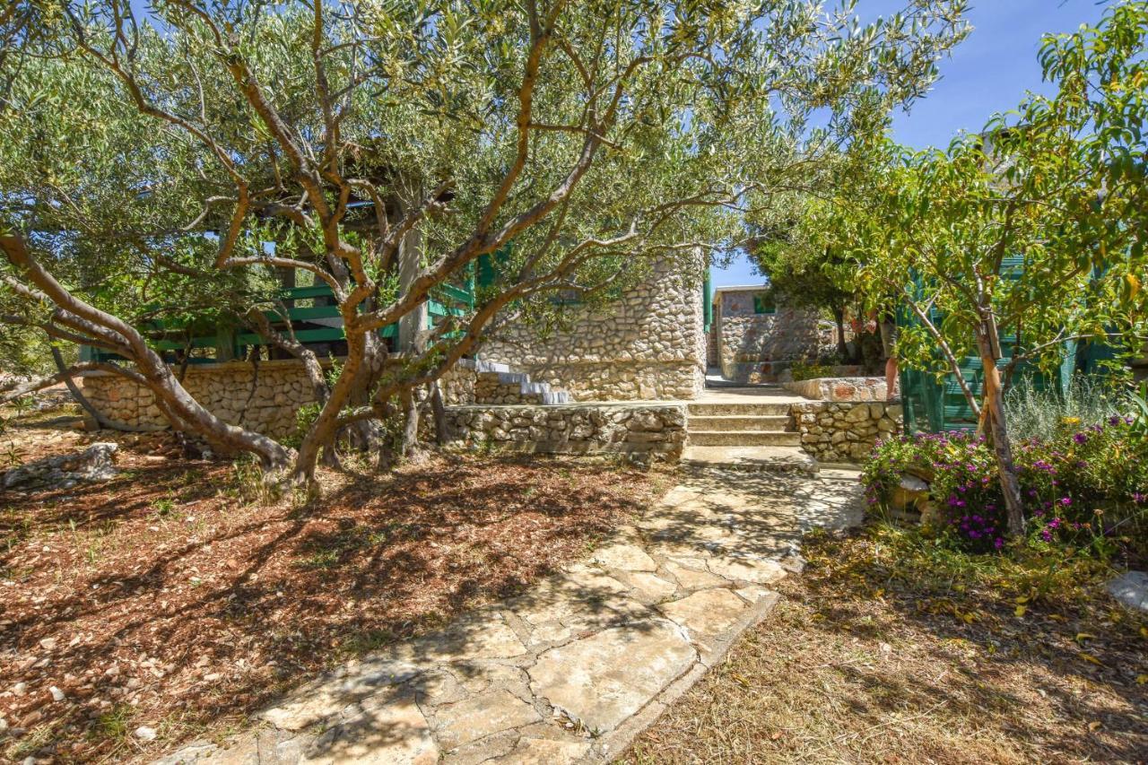 House Oliva Villa Tkon Dış mekan fotoğraf