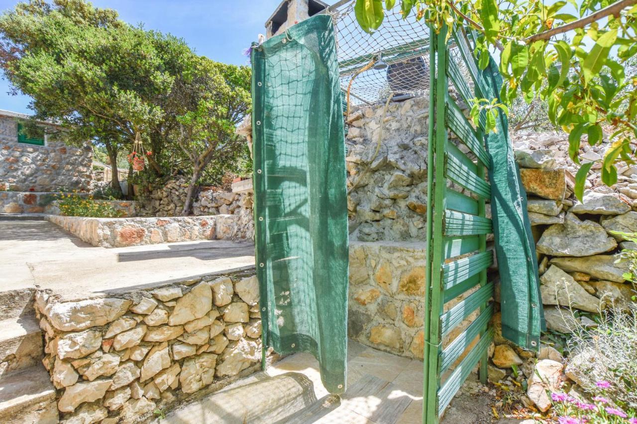 House Oliva Villa Tkon Dış mekan fotoğraf